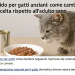 Cibo umido per gatti anziani: come cambia la scelta rispetto all’adulto sano