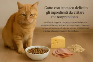 Gatto con stomaco delicato: gli ingredienti da evitare che sorprendono