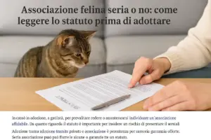 Associazione felina seria o no: come leggere lo statuto prima di adottare