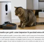 Dispenser automatico per gatti: come impostare le porzioni senza sbagliare