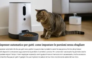 Dispenser automatico per gatti: come impostare le porzioni senza sbagliare