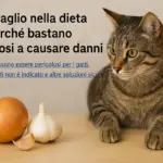 Cipolla e aglio nella dieta felina: perché bastano piccole dosi a causare danni