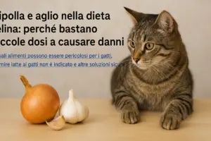 Cipolla e aglio nella dieta felina: perché bastano piccole dosi a causare danni