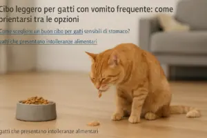 Cibo leggero per gatti con vomito frequente: come orientarsi tra le opzioni
