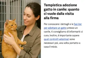 Tempistica adozione gatto in canile: quanto ci vuole dalla visita alla firma