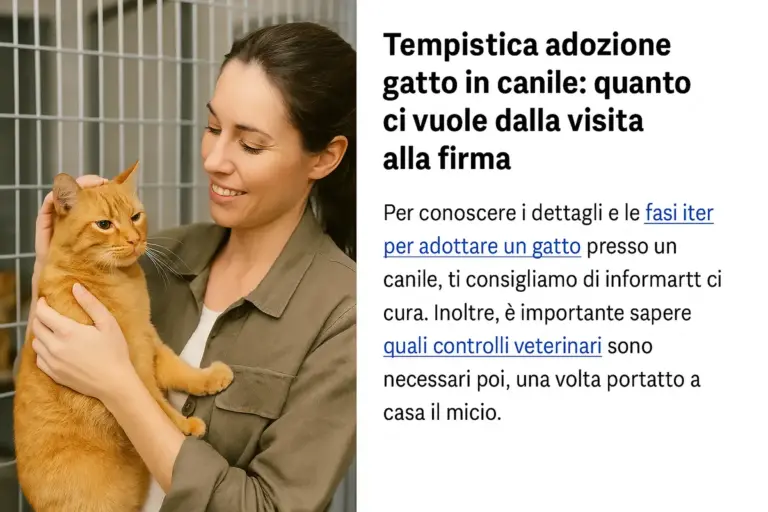 Tempistica adozione gatto in canile: quanto ci vuole dalla visita alla firma