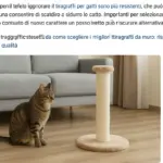 Gatto che ignora il tiragraffi nuovo: cosa cambia se lo posizioni in modo diverso