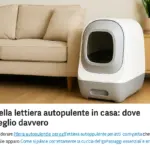 Posizione della lettiera autopulente in casa: dove funziona meglio davvero