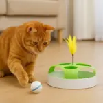 Giocattoli a movimento automatico per gatti: quando stimolano senza stancare