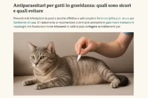 Antiparassitari per gatti in gravidanza: quali sono sicuri e quali evitare