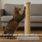Altezza del tiragraffi per gatti adulti: il dettaglio che quasi nessuno considera