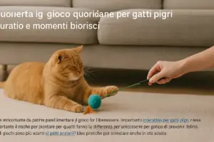 Sessioni di gioco quotidiane per gatti pigri: durata e momenti migliori