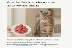 Gatto che rifiuta la carne in casa: cause nascoste e come rimediare
