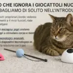Gatto che ignora i giocattoli nuovi: cosa sbagliamo di solito nell’introdurli